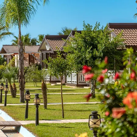 Bed & Breakfast Sedir Park - Kargıcak