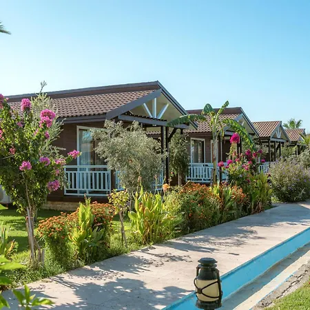 Sedir Park - Bed & Breakfast Kargıcak