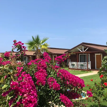 Sedir Park - Bed & Breakfast