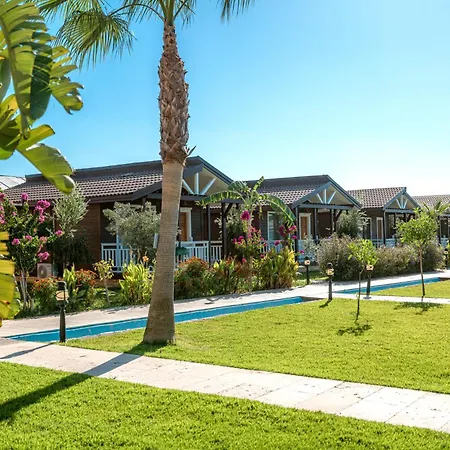 Sedir Park -